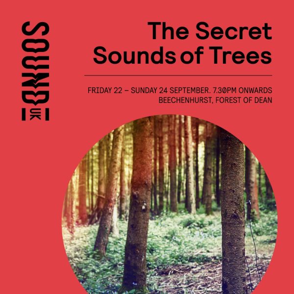 The Secret Sounds of Trees